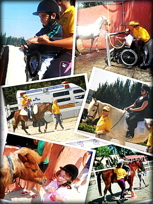 Escuela de equitación para niños y adultos