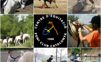 Escuela de equitación para niños y adultos
