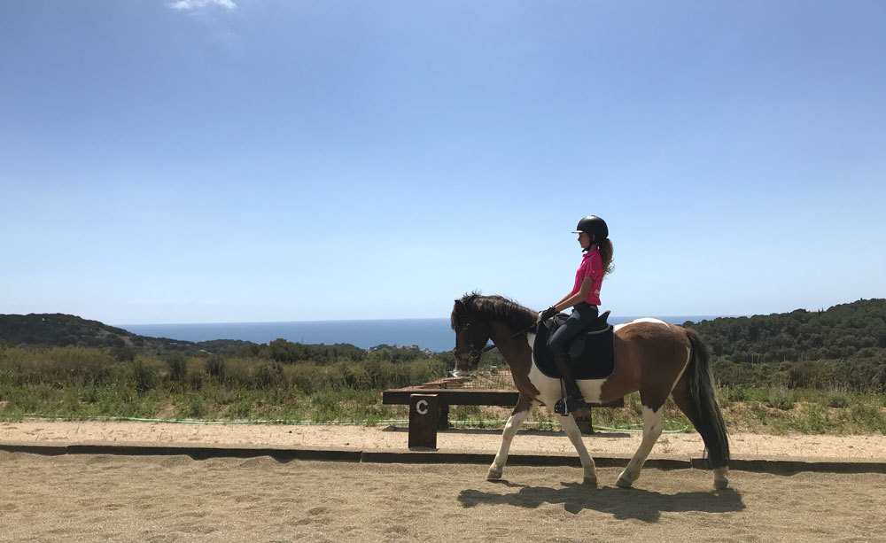 Hípica i equitació