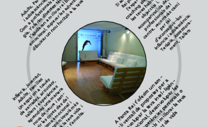 Psicoterapia, inteligencia emocional