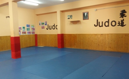 Clases de judo para niños y adultos