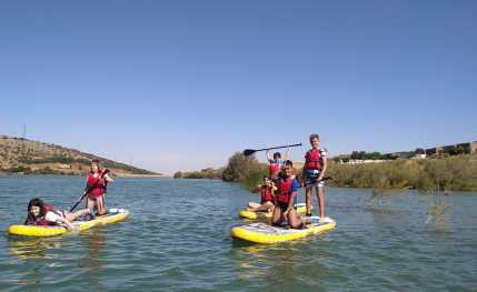 Campamentos de verano en inglés