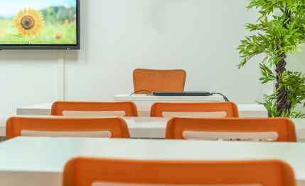 Academia de repaso, refuerzo, idiomas