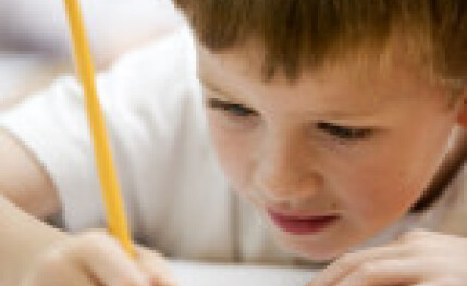 Academia de apoyo escolar e idiomas