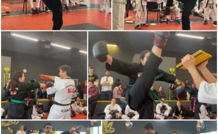 Artes marciales, Karate, Boxeo