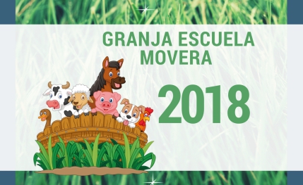 Organización de extraescolares y colonias